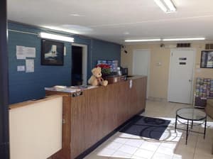 thumbnail: Reception