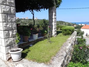 thumbnail: Garden