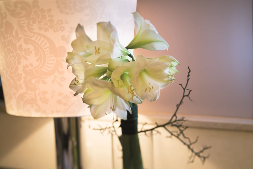 Room amenity