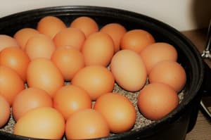 thumbnail: Breakfast buffet