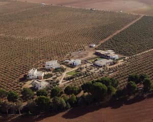thumbnail: Aerial view