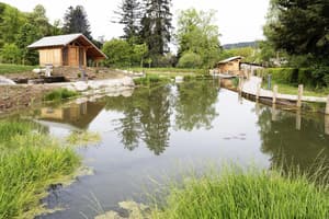 thumbnail: Lake