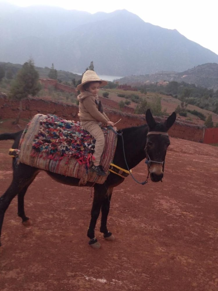 Horseback riding