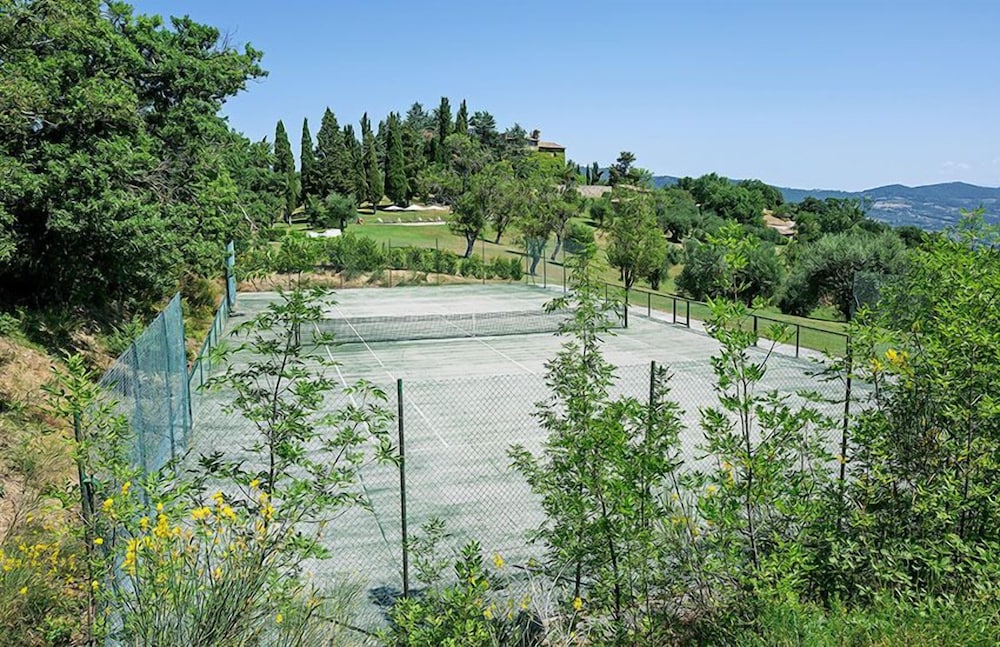 Tennis court