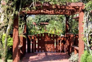 thumbnail: Outdoor dining