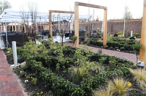 thumbnail: Garden