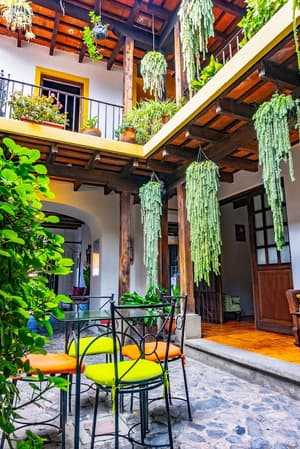 thumbnail: Garden