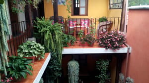 thumbnail: Interior detail
