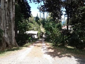 thumbnail: Land view from property