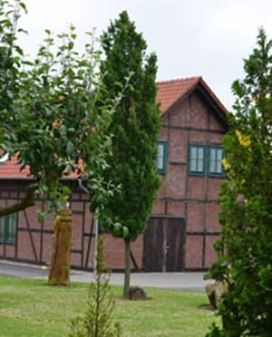 thumbnail: Outdoor wedding area