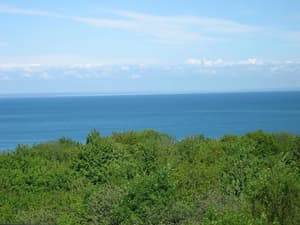 thumbnail: View from property