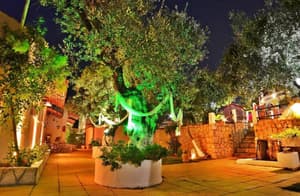 thumbnail: General view