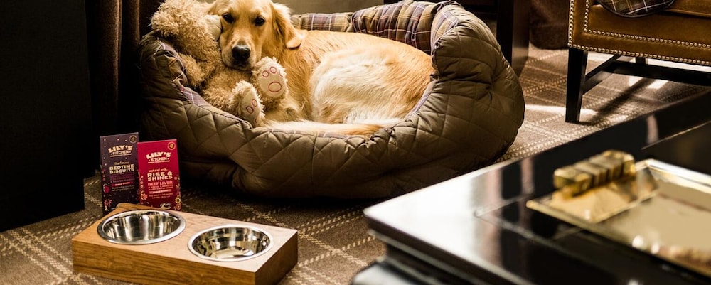 Pet-friendly