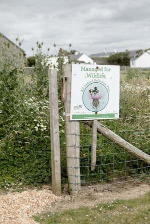thumbnail: Garden
