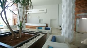 thumbnail: Reception