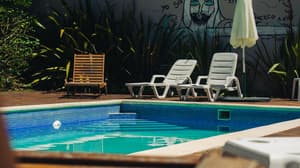 thumbnail: Garden view