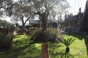 thumbnail: Exterior