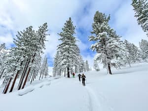 thumbnail: Hiking