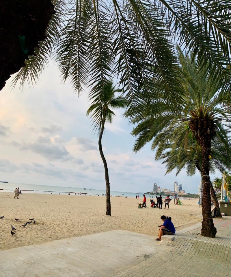 Beach