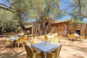 thumbnail: Outdoor dining