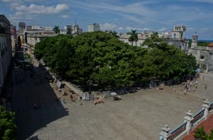 thumbnail: General view