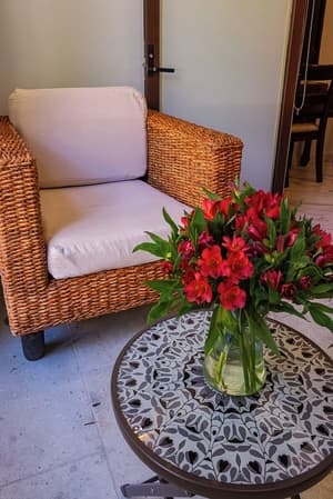thumbnail: Terrace/patio