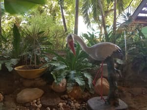 thumbnail: Garden