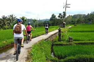 thumbnail: Bicycling