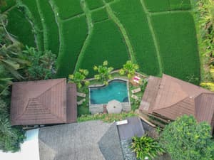 thumbnail: Aerial view