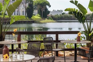 thumbnail: Bar (on property)