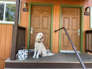 thumbnail: Terrace/patio