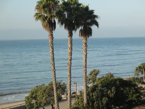 thumbnail: View from property