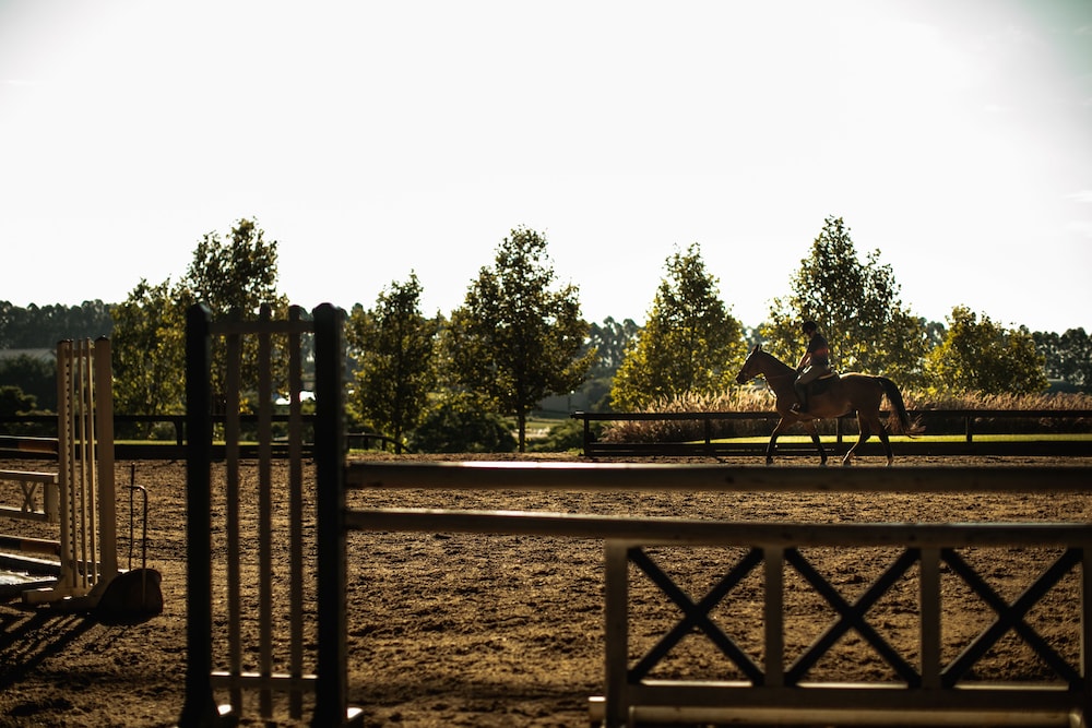 Horseback riding