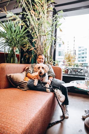 thumbnail: Pet-friendly