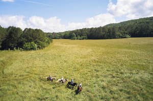 thumbnail: Horseback riding