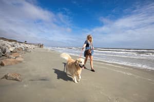 thumbnail: Beach