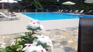 thumbnail: Outdoor pool