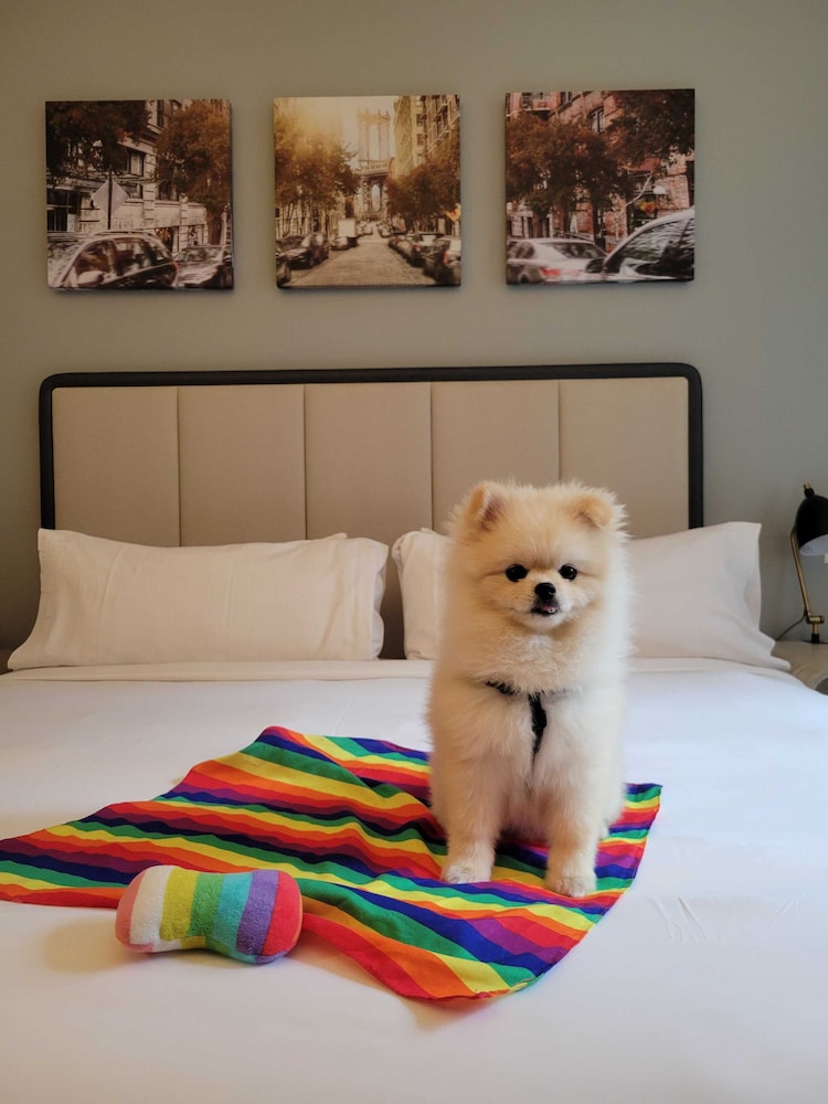 Pet-friendly