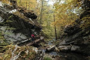 thumbnail: Hiking