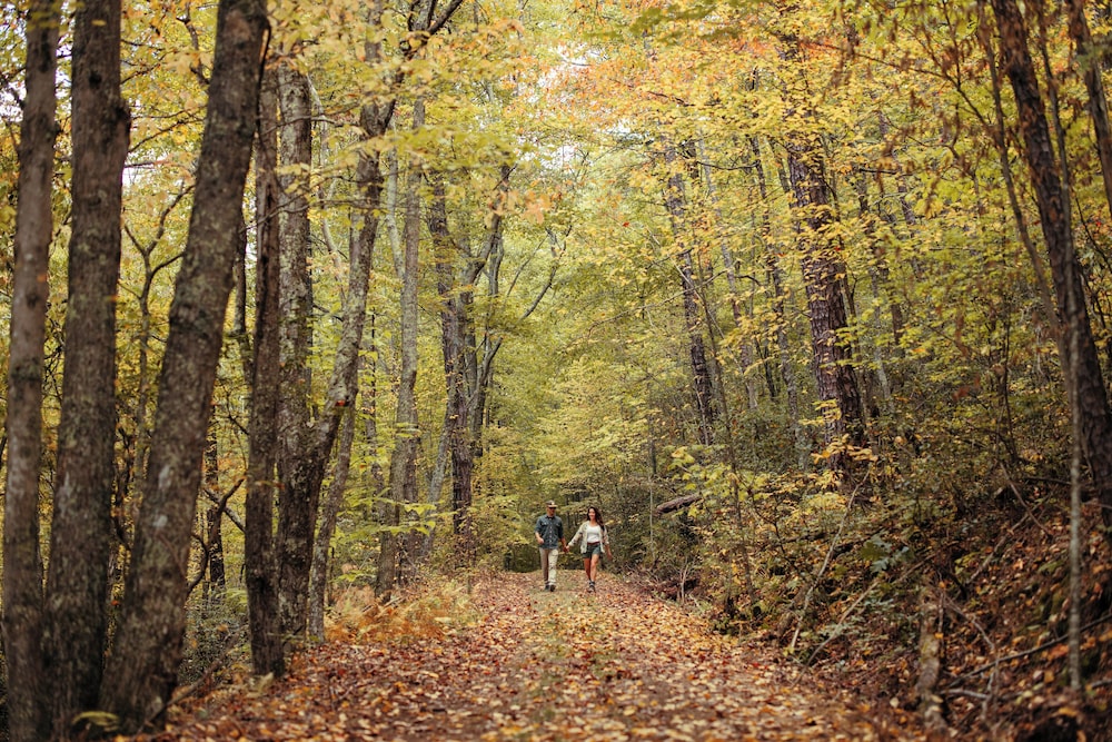 Hiking
