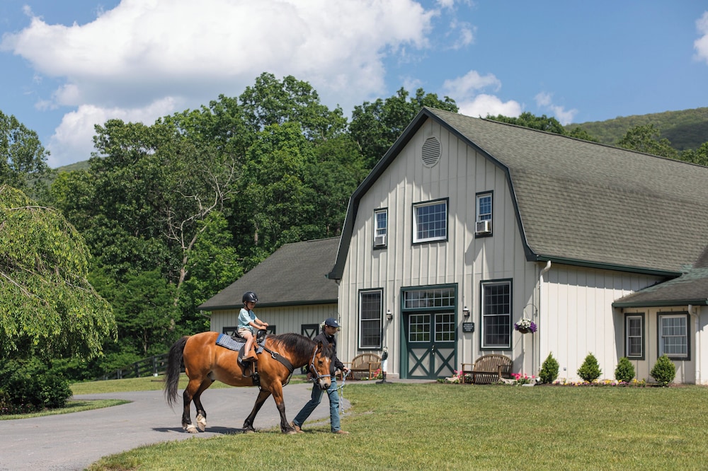 Horseback riding