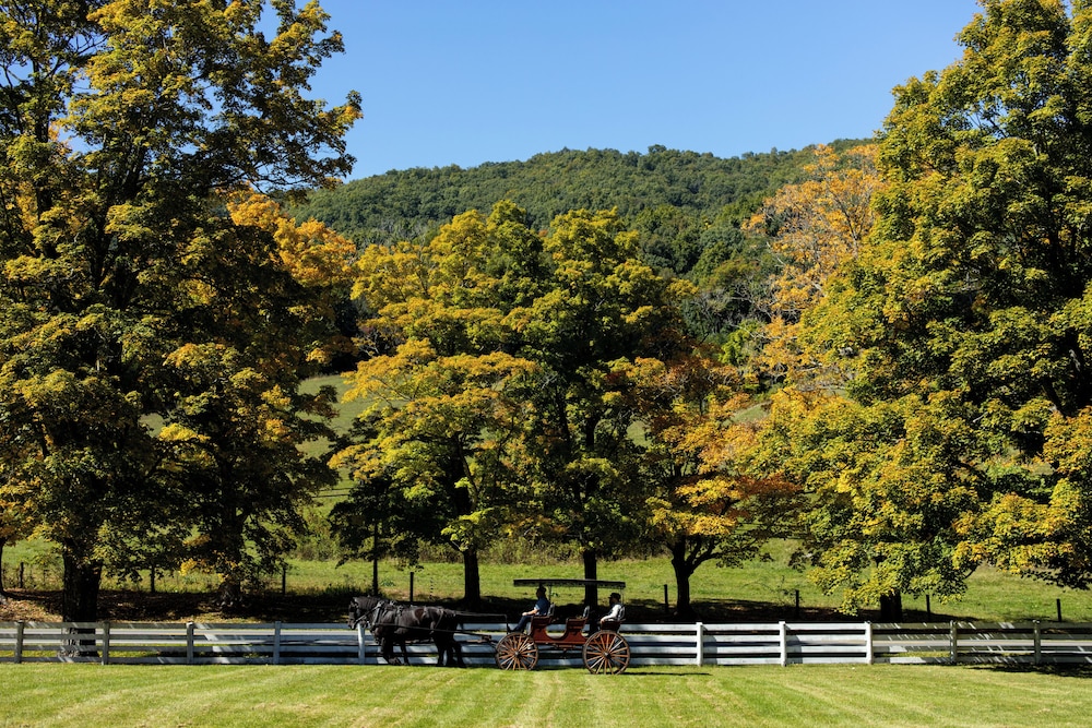 Horseback riding