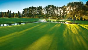 thumbnail: Golf