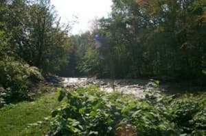 thumbnail: Property grounds