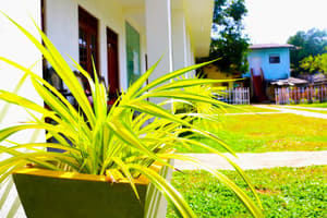 thumbnail: Front of property