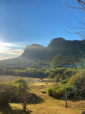 thumbnail: 416541655.jpg