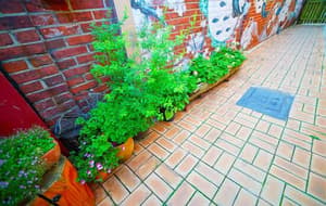 thumbnail: Property grounds