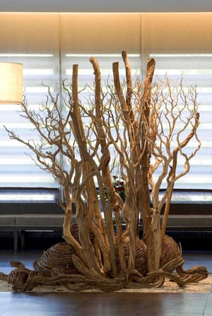 thumbnail: Interior