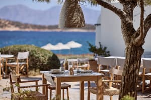 thumbnail: Restaurant