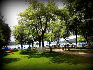 thumbnail: Garden